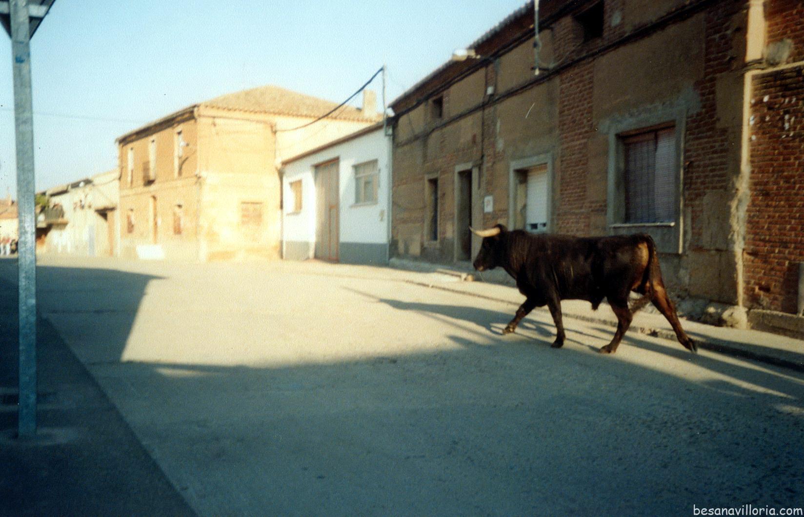 2004 Encierro (9)